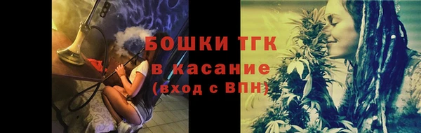 МДПВ Пересвет