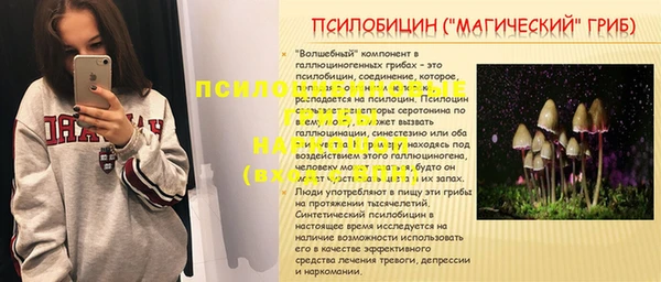 шишки Навашино