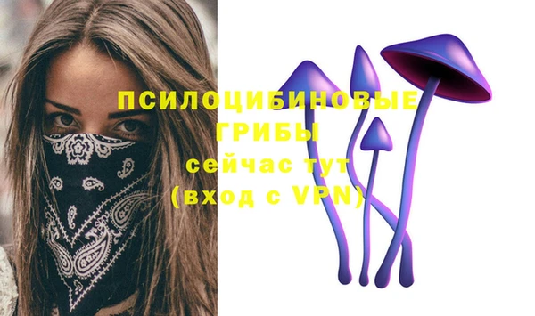 тгк Липки