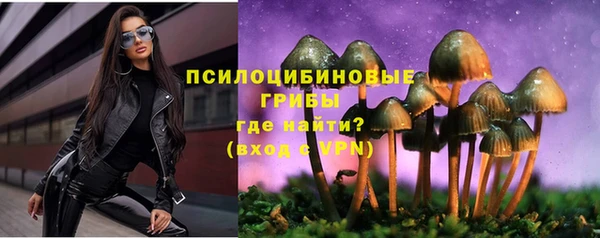 бутират Кукмор