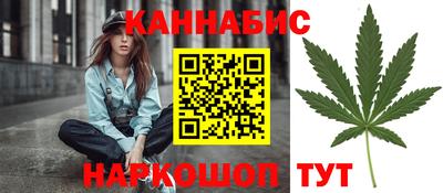 крисы Апшеронск