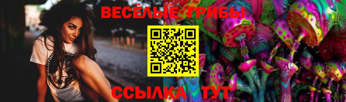 купить наркотики сайты  Вход с VPN  Балашиха  Псилоцибиновые грибы Cubensis  Галлюциногенные грибы MAGIC MUSHROOMS 